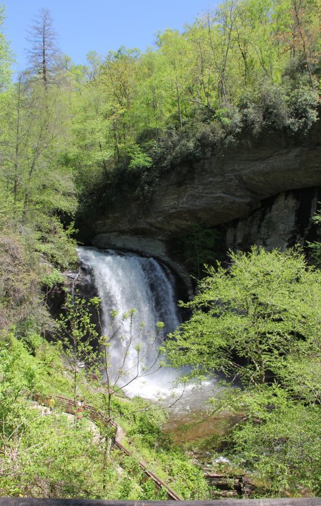 Looking Glass Waterfall in Piscah NF